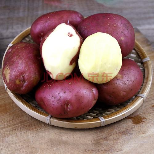 云南大土豆新鮮蔬菜紅皮馬鈴薯農產品特產洋芋黃心 3斤